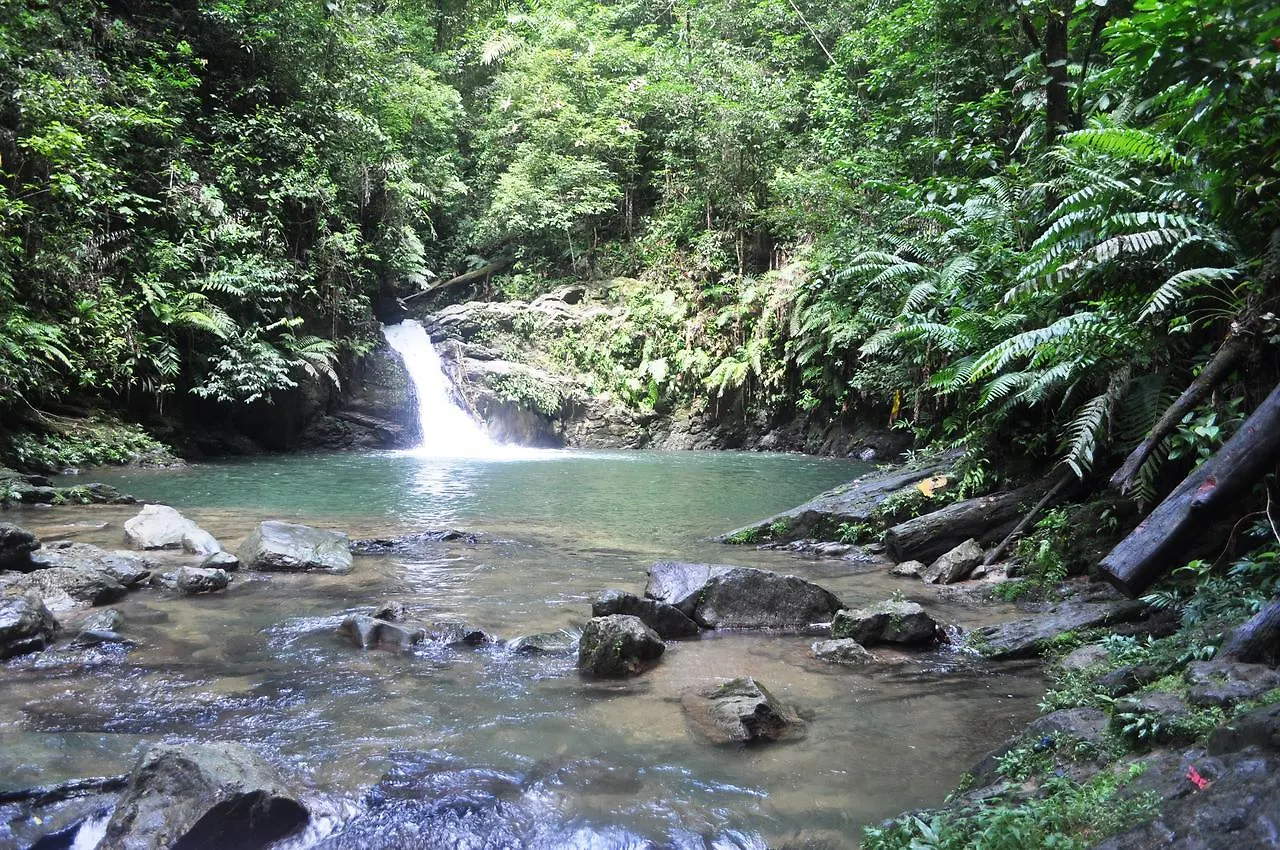 Leatherback Lodge Eco B&B Salybia Trinidad & Tobago