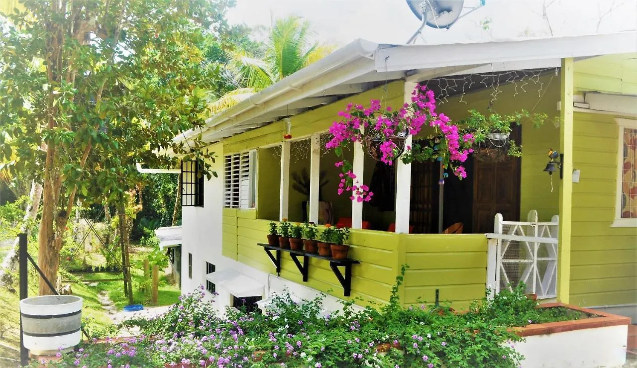 Leatherback Lodge Eco B&B Salybia