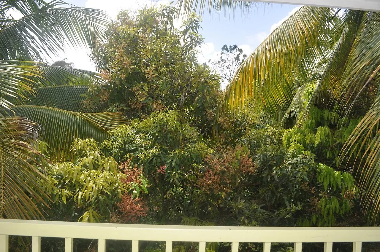 Leatherback Lodge Eco B&B Salybia
