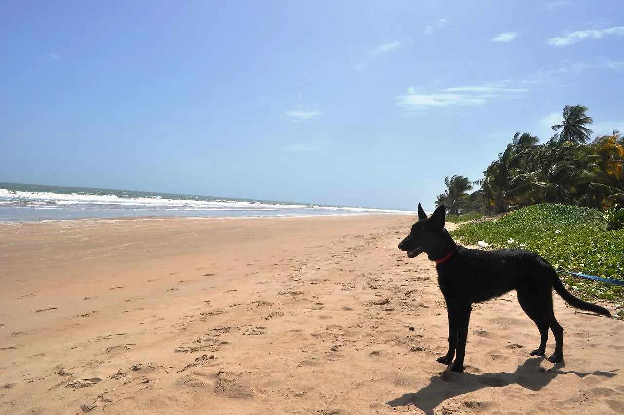 Leatherback Lodge Eco B&B Salybia Trinidad And Tobago