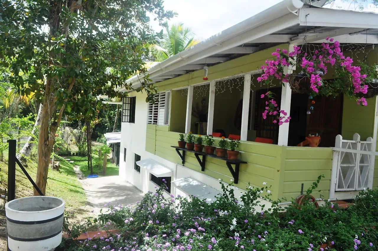 Leatherback Lodge Eco B&B Salybia 0*,