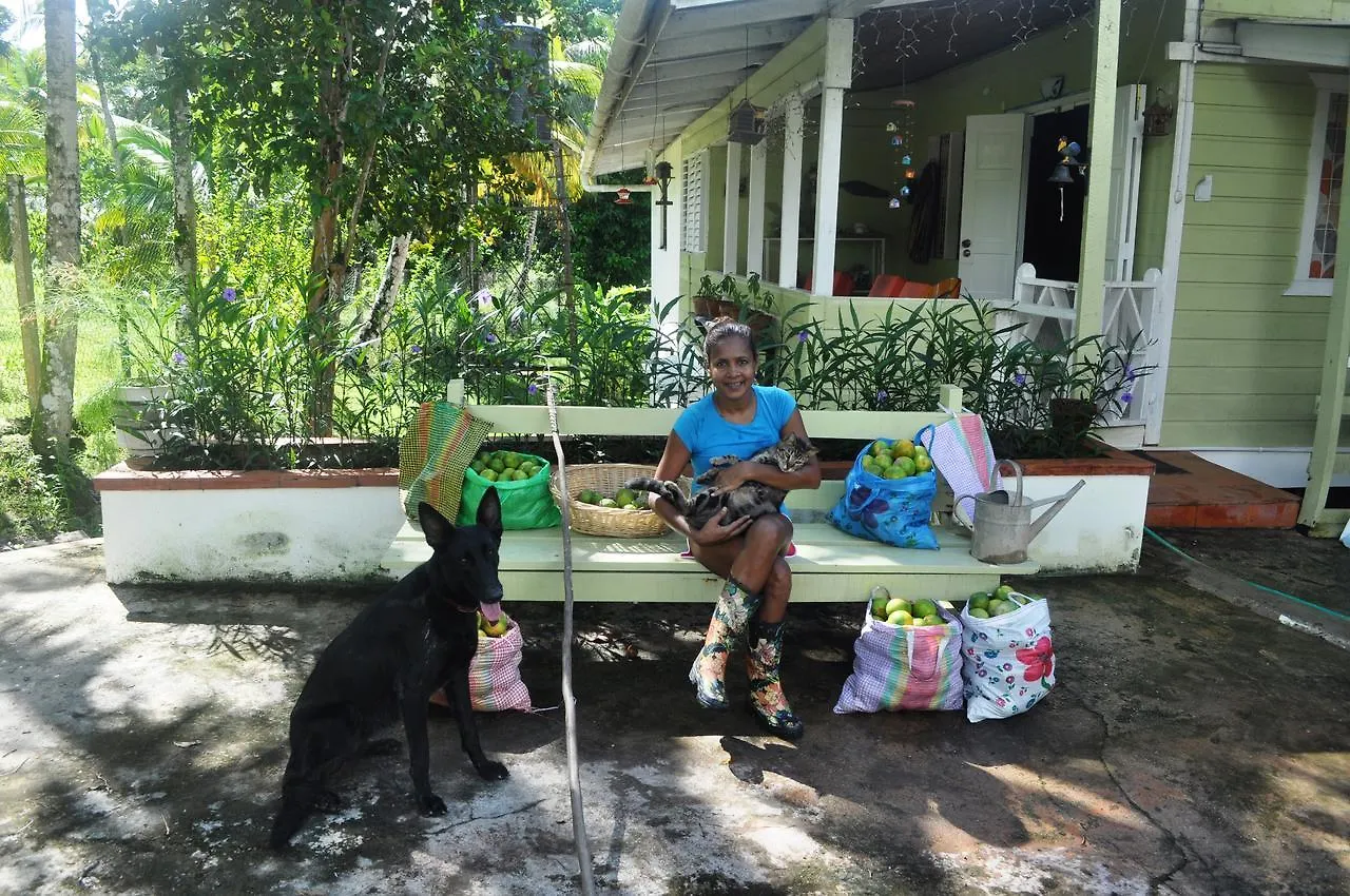 Leatherback Lodge Eco B&B Salybia
